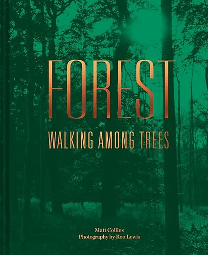 Forest Walking Among Trees